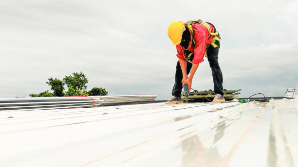 4 Ply Roofing in Homewood, AL